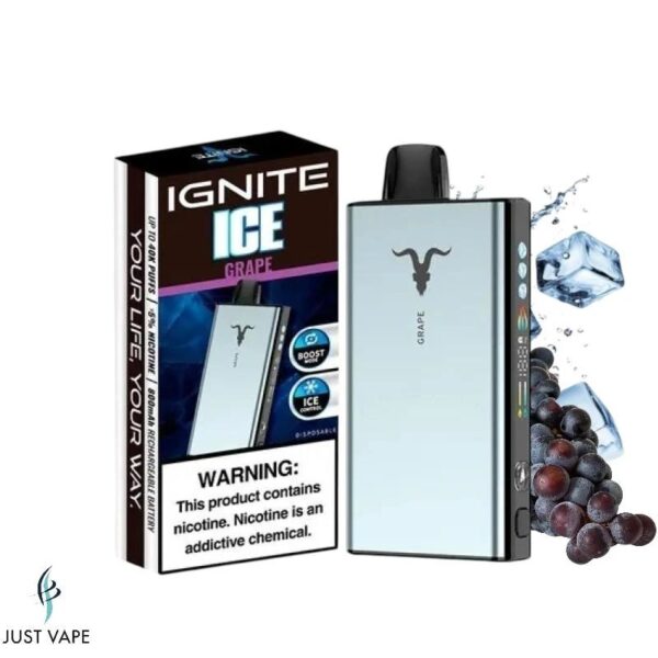Pod Descartable Ignite V400 ICE Grape 40000 puff 5%