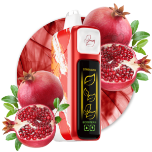 Descartable Elfbar 40K NIK KING Pomegranate 40000 puff 5%